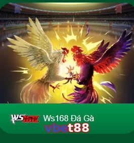 vbet88
